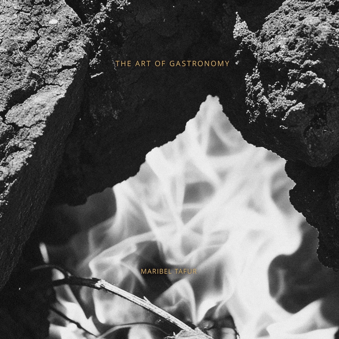 Discography the art of